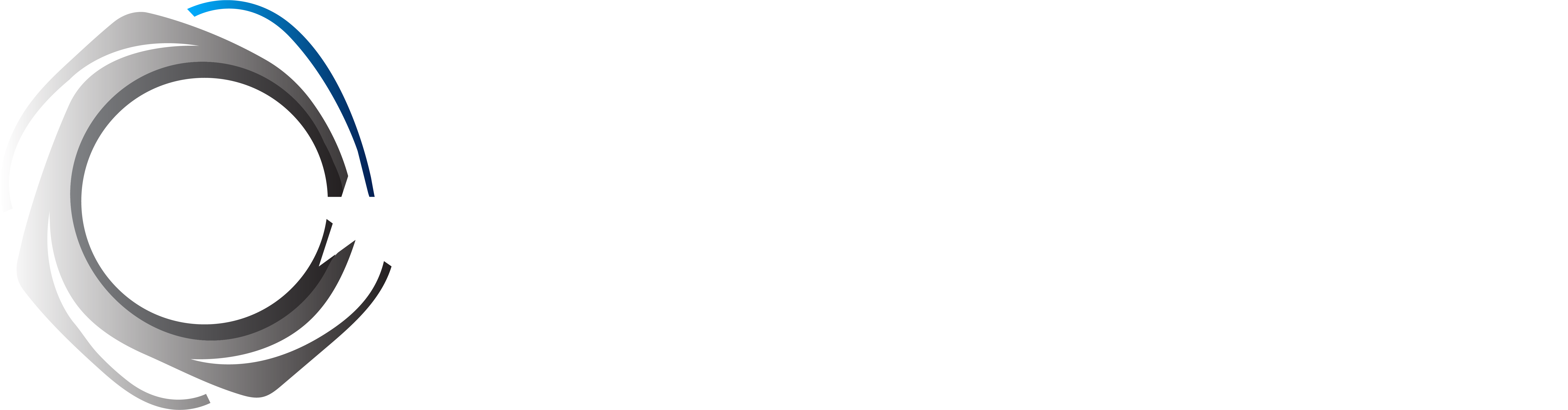 Chainalysis — KryptoX Partner